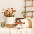 thumbnail image 3 of Paquete de 2 cestas colgantes - 7.87 "x 7" pequeño helecho tejido cesta de cuerda colgante flor plantas cesta de pared decoración conjunto Boho Xemadio LRWJ681-2, 3 of 7