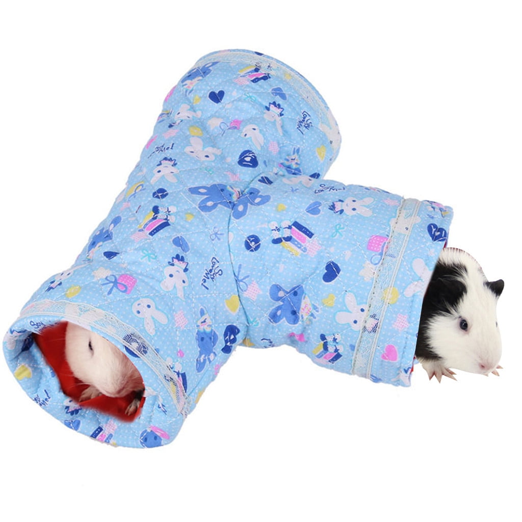 guinea pig toys walmart