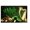 B, variant on BOBOMOTI St. Patrick's Banner Decorations Happy St Patricks Day Backdrops 71x45 Inch St Patricks Outdoor Decor for Irish-Themed Party