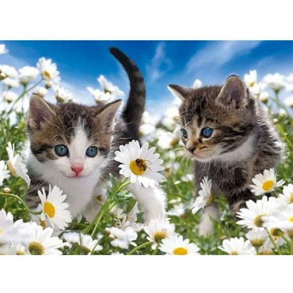 5D Diamond Painting Kits, Cat Kitten Daisy Flowers Bee, Full Drill DIY Diamond Art Cross Stitch Paint by Numbers