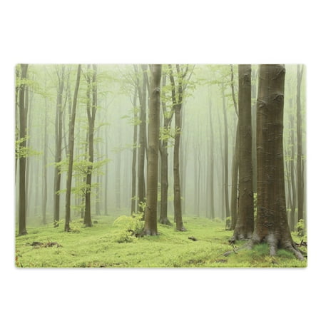 

Woodland Cutting Board Misty Springtime Beech Forest Photo Taken in the Mountains of Central Europe Decorative Tempered Glass Cutting and Serving Board Large Size Brown Green by Ambesonne