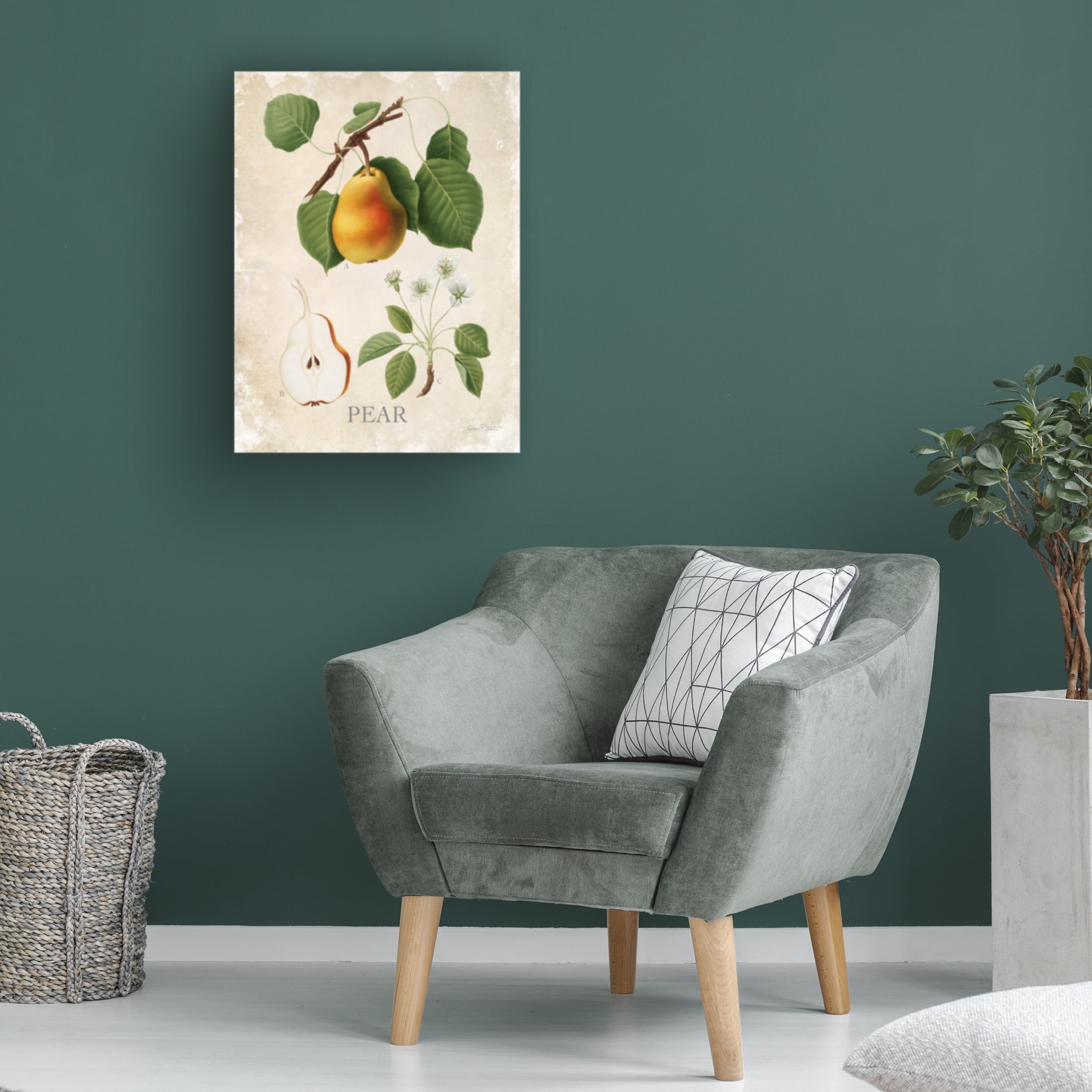 Canvas Wall Art - Jean Plout 'Luscious Fruit Study A' Wall Art for Living Room, Bedroom, or Office Décor by Trademark Fine Art - 35 x 47 Inches