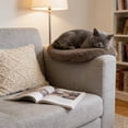 thumbnail image 4 of Plush Cat Dog Cushion, Round Pet Warm Mat, Soft and Comfortable Sleeping Cushion for Living Room, 20in, 4 of 6