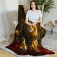 thumbnail image 5 of Decorative Lion Throw Blanket, Fuzzy Soft Cozy Flannel Blanket for Home Bed Sofa Couch, Regal King with Crown Realistic, Inch Lion King, 5 of 7