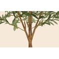 thumbnail image 4 of Yeshouse Olivo artificial alto, planta en maceta de seda sintética de 1,2/1,5/1,8 m con tronco de madera realista y frutos para la decoración de interiores del hogar, la oficina o la sala de estar, 4 of 6