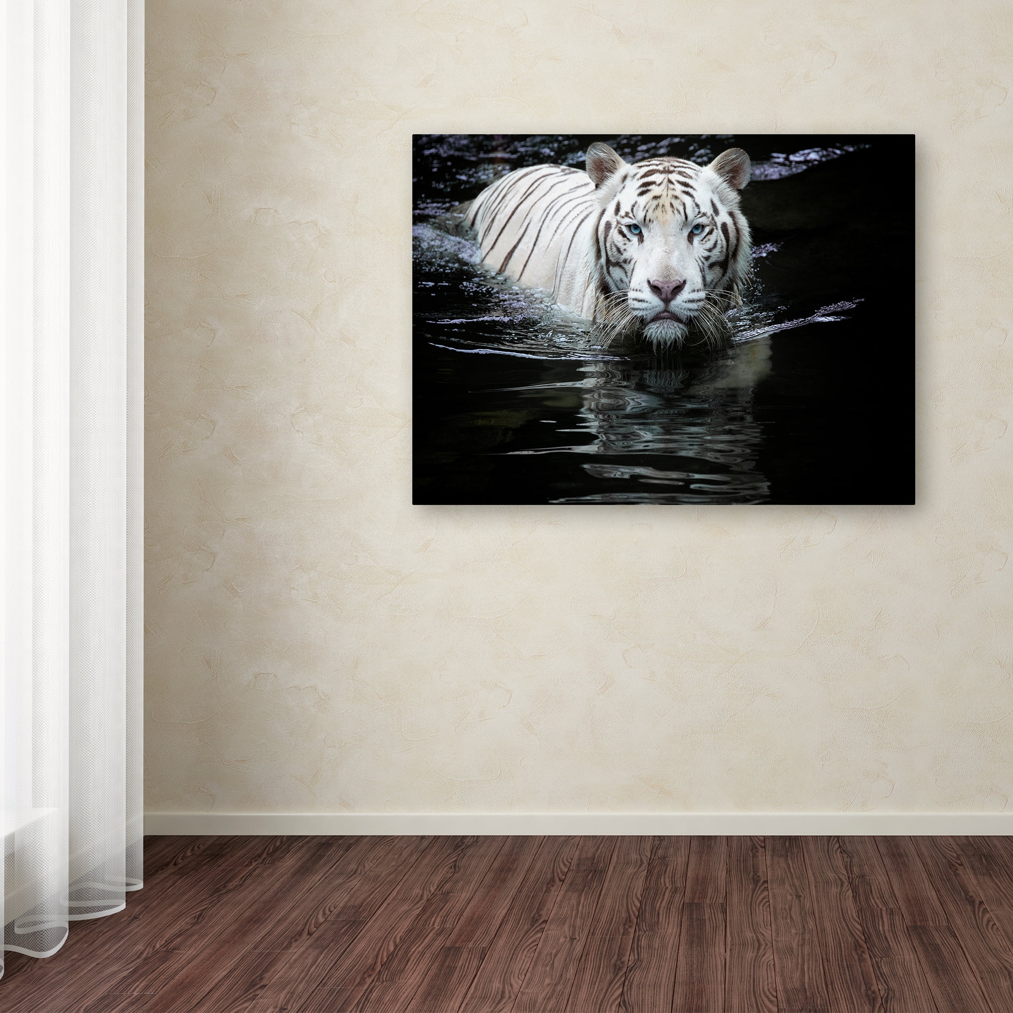 Trademark Fine Art 'Looking At Me Looking At You' Canvas Art by Renee Doyle