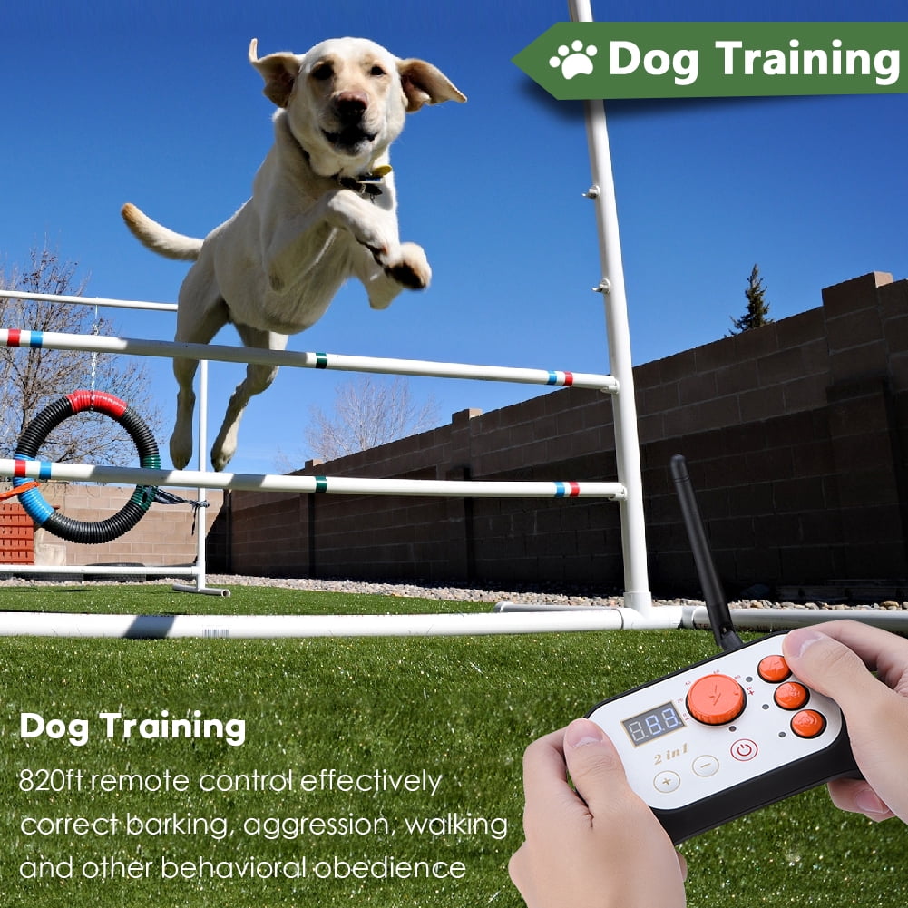 dog control fence