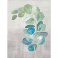 thumbnail image 3 of Fresh II Gray, Botanical World Culture Stretched Canvas Wall Art by Danhui Nai Sold by Art.Com, 3 of 5