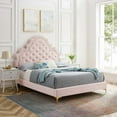 thumbnail image 2 of Tufted Platform Bed Frame, Queen Size, Velvet, Pink, Modern Contemporary Urban Design, Bedroom Master Guest Suite, 2 of 10