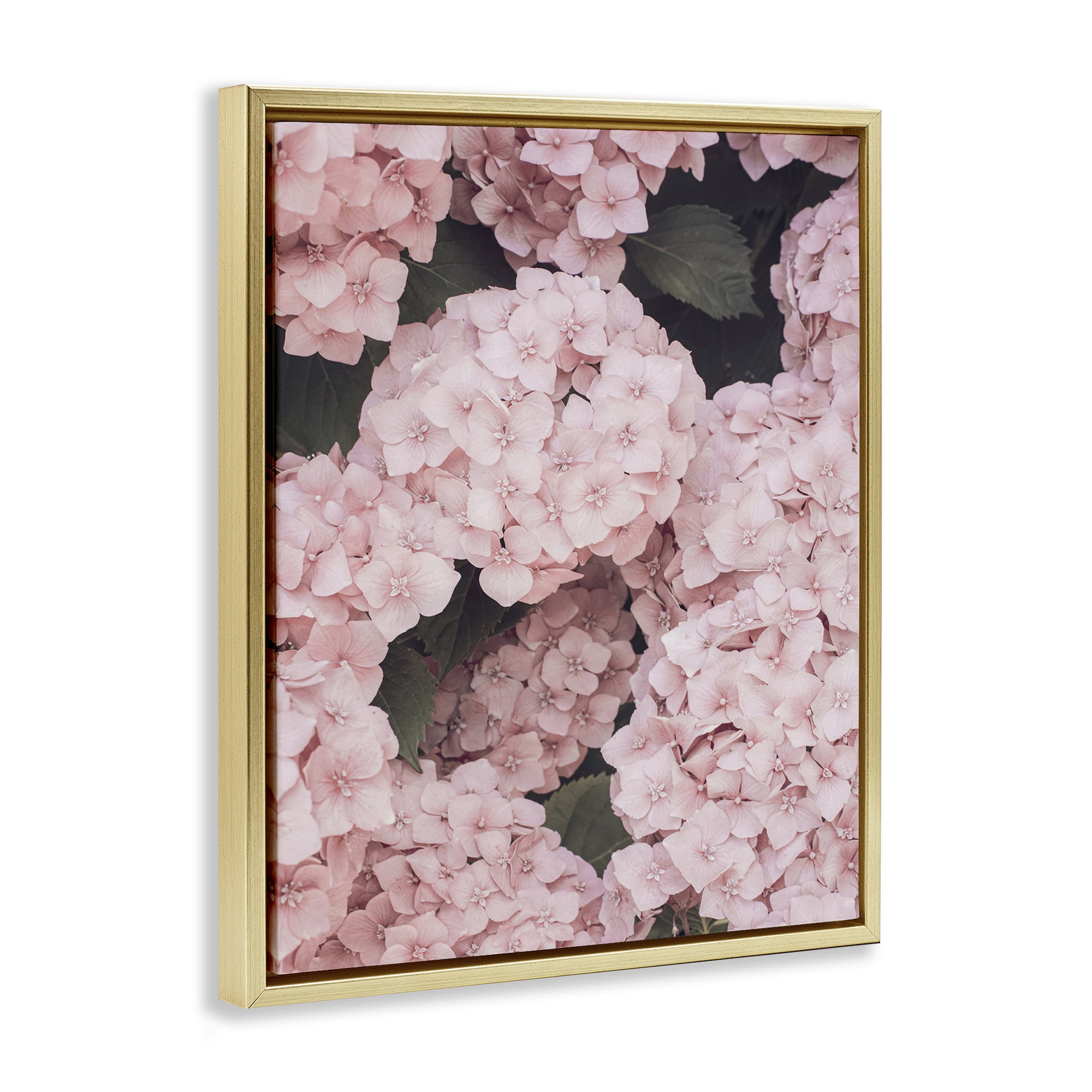 Stupell Industries Pink Hydrangea Blossoms Plants & Flowers Photography Gold Floater Framed Canvas Art Print Wall Art, 17 x 21