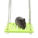 thumbnail image 1 of Juguete de hámster de madera Actividad de animales pequeños Ejercicio de escalada (Swing Green) JShteea Libre de BPA, 1 of 8