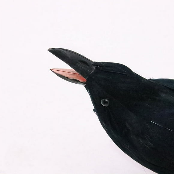 HHBEAUTY Halloween Realistic Crow, 9" Extra Large Black Feathered Standing Crow for Halloween Decorations Birds,Spooky Ravens for Indoor Outdoors Yard Tree Garden Patio Haunted House Prop Decor