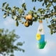 thumbnail image 3 of Trampa para avispas, trampa para insectos, control de abejas, trampas reutilizables para atrapar abejas, trampa para avispas colgantes, atrapamoscas para avispas WD.WDQZL Hogar, 3 of 5
