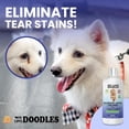 thumbnail image 3 of We Love Doodles Organic Professional Blueberry Facial Shampoo, Tear Stain Remover Whitens Cleans Deoderizes, Blueberry, 16 fl-oz, 3 of 5