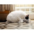 thumbnail image 4 of Iconic Pet Color Splash Designer Oval Fusion Bowl in Gray- Large, 4 of 4