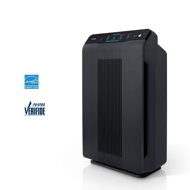 Winix 5500 2 Air Purifier with True HEPA PlasmaWave and Odor
