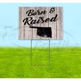 thumbnail image 1 of Born & Raised Oklahoma (18" x 24") Yard Sign, Includes Metal Step Stake, 1 of 6