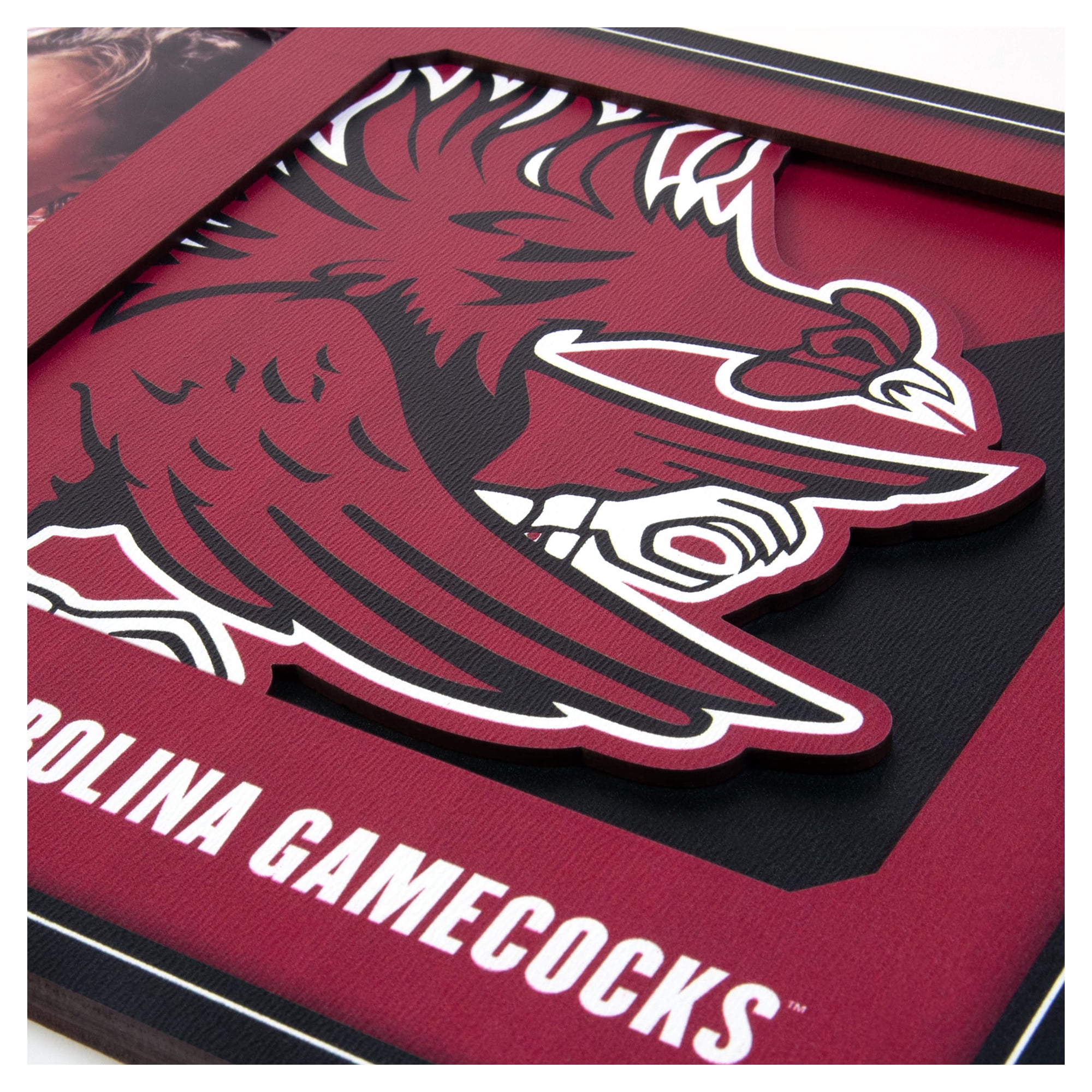 IDNA South Carolina Gamecocks 3D Logo Series Picture Frame