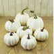 thumbnail image 3 of 12 tamaños mixtos, calabaza de decoración del hogar de Halloween, calabaza artificial blanca DIY Graffiti Ormromra CJWUS-1573, 3 of 3