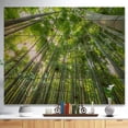 thumbnail image 2 of Design Art - Pics de Bambou dans la Forêt de Kyoto, 2 of 5