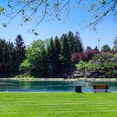 thumbnail image 4 of YOWPSY 40" Extra-Large Heavy Duty Lake Weed Rake for Ponds with 11" Long Plastic Tines, 11ft Commercial-Grade Aquatic Weed Removal Tool, Deep Water Weed Cleaner for Large Aeras, Ergonomic Handle., 4 of 8