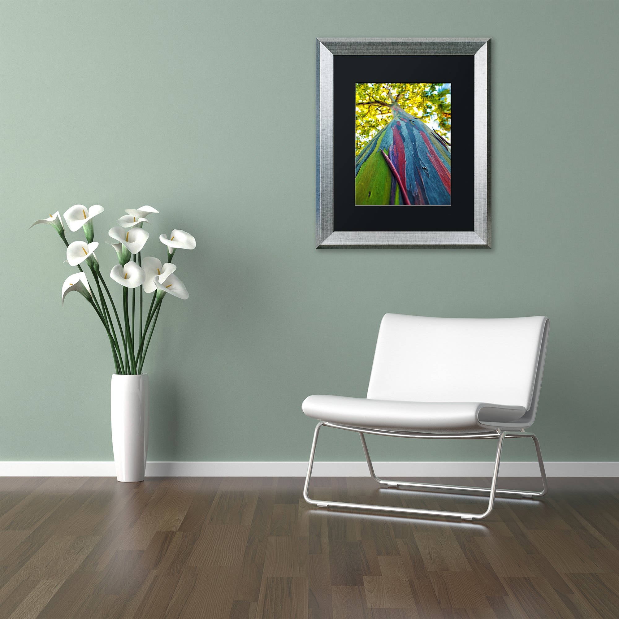 Trademark Fine Art "Rainbow Eucalyptus Tree" Canvas Art by CATeyes, Black Matte, Silver Frame