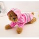 thumbnail image 4 of Chubasquero para mascotas al aire libre con chaquetas impermeables con capucha Chubasquero reflectante de PU para gatos Ropa Ropa para gatos (M) oso de fresa Electrónica, 4 of 5