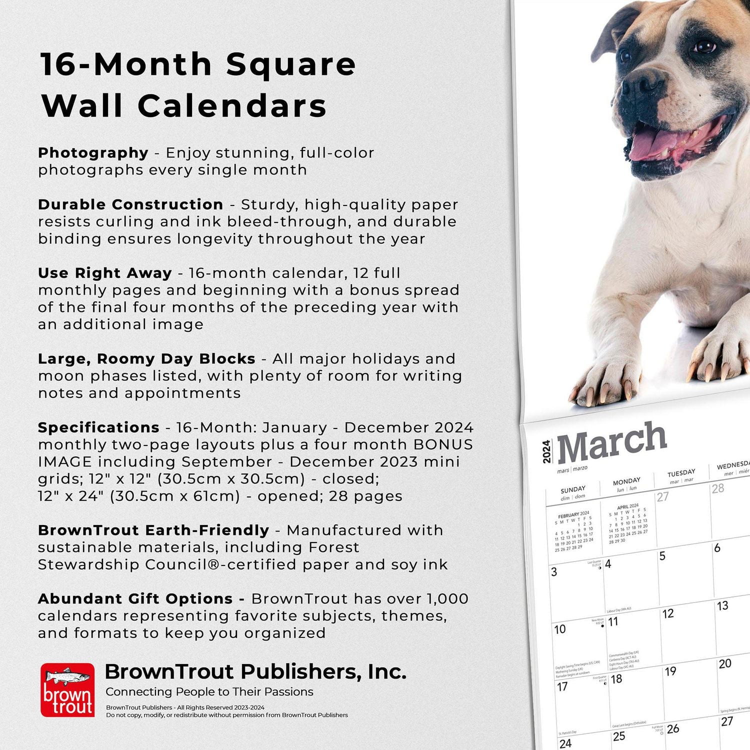 BrownTrout American Bulldogs 2024 12x24 Inch Square Wall Calendar, 9781975470623