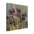 thumbnail image 2 of Trademark Fine Art 'Spring Iris I' Canvas Art by Danhui Nai, 2 of 3