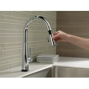 Delta Essa Single-Handle Pull-Down Kitchen Faucet - 9113T-DST - Chrome