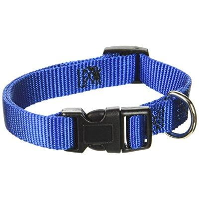 guardian gear nylon adjustable dog collar with plastic buckles, fits necks 10 to 16, blue