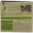 thumbnail image 4 of Star Anise Foods Noodles - Brown Rice - Vietnamese - with Organic Green Tea - 8.6 oz - case of 6, 4 of 5