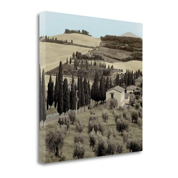 25" x 25" Tuscany - 15 By Alan Blaustein - Print on Canvas Fabric Multi-Color