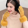 thumbnail image 5 of Fashion Women Winter Warm Suede Leather Touch Screen Glove Female Faux Rabit Fur Embroidery Plus Velvet Thick Driving Gloves H92 J23 Red, 5 of 5