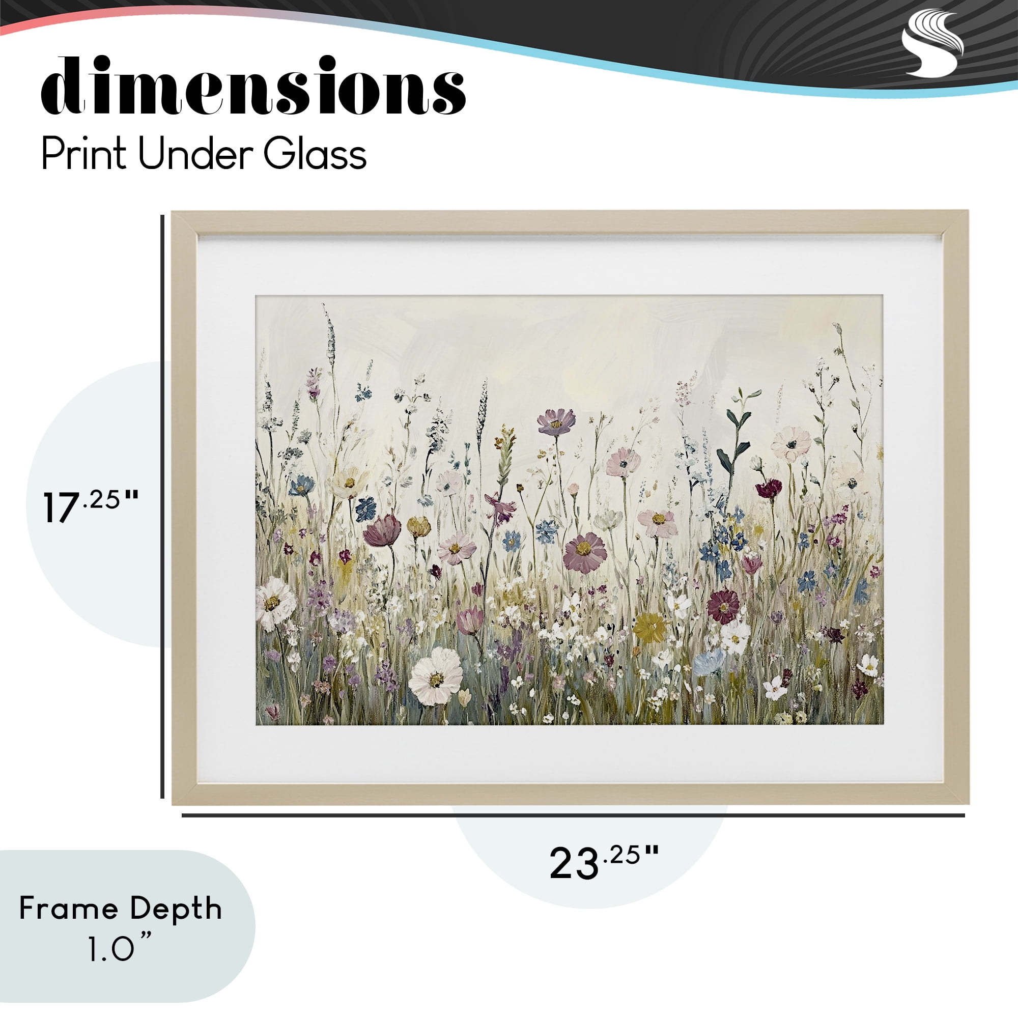 Stupell Industries Spring Blooms Pastoral Meadow Birch Framed Print Under Glass, design by Kim Allen