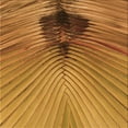 thumbnail image 1 of Ahgly Company Machine Washable Indoor Square Transitional Mahogany Brown Area Rugs, 4' Square, 1 of 7