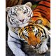 thumbnail image 1 of Cuadros Decorativos 5D bricolaje taladro cuadrado completo diamante pintura tigre decoración del hogar arte artesanal Likrtyny embutido en tela, 1 of 1