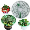 thumbnail image 3 of Moyic Soporte para fresas, herramienta de marco de soporte para cultivo, soporte para plantas, estante de fijación de flores, círculo Jardín y Patio verde  15 piezas, 3 of 6