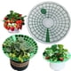 thumbnail image 5 of Bearachild Soporte de fresa, marco de soporte para plantas, estante de fijación de pilar de flores de frutas, bandeja redonda de plástico para Jardín y Patio verde  15 piezas, 5 of 6