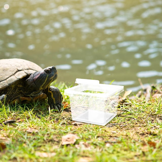 BESTYASH 30Ud Terrario De Plástico Transparente Para Reptiles Con Mantenimiento Fácil Y