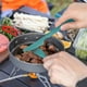thumbnail image 2 of Juego de vajilla de paja de trigo irrompible. Incluye cubiertos de cocina., 2 of 8