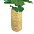 thumbnail image 5 of LCG Florals Artificial Plant, Deluxe Green Fig Plant, 4.33 ft, Cylinder Basket, 5 of 6