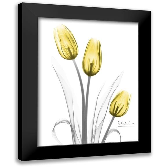 Koetsier, Albert 12x14 Black Modern Framed Museum Art Print Titled - Illuminating Tulip Trio