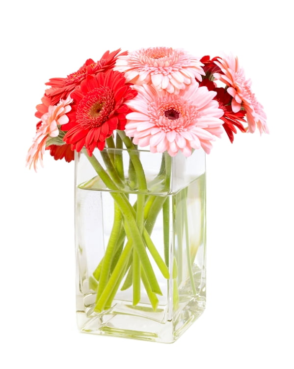 3" x 3" x 6" Square Vase