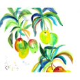 thumbnail image 1 of Betsy Drake DM1104 18 x 26 in. Mangos Door Mat, 1 of 1