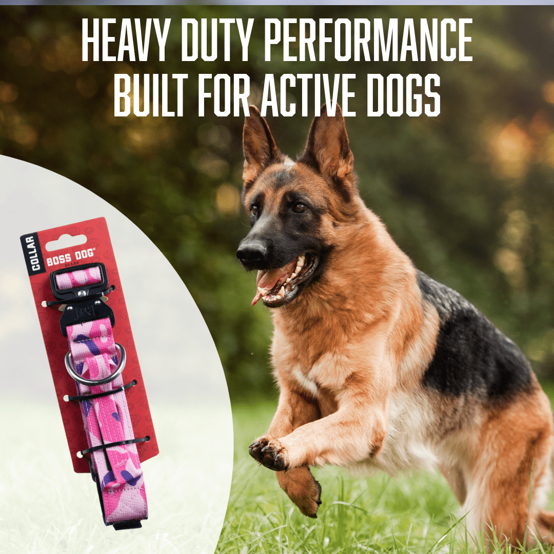 Boss Dog Tactical Collar, Pink Camo, Medium