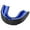 Black & blue, variant on Radirus Youth Men Women Mouth Guard, Dental braces for Football Basketball Hockey MMA Boxing Wrestling