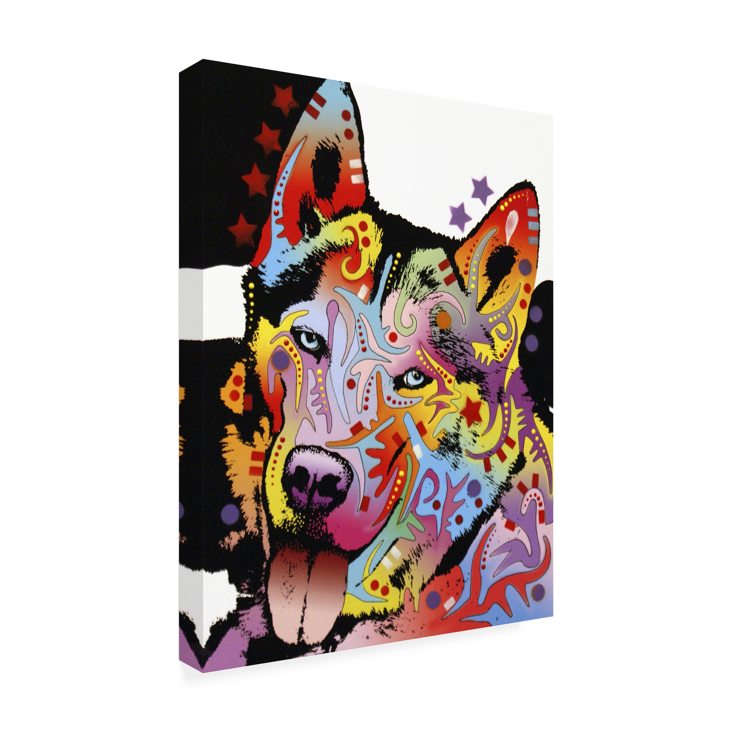 35x47 Gallery Wrapped Canvas Art