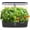 Black, variant on SUNCOZE 12 Pods Hydroponic Growing System with LED Grow Light, Indoor Herb Garden, 4L Water Tank, Adjustable Height, Black