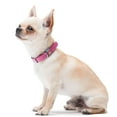 thumbnail image 6 of COLLAR America | WAUDOG Classic | Leather Dog Collar in Pink, 6 of 7